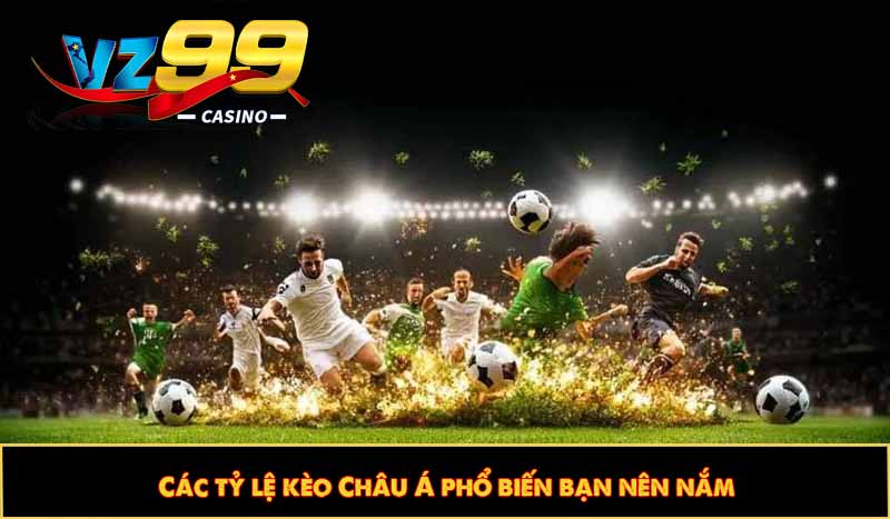 Các tỷ lệ kèo Châu Á phổ biến bạn nên nắm